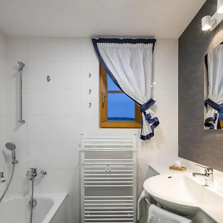 Hotel Ostrov 4*