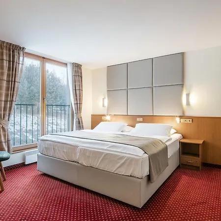 Hotel Ostrov 4*