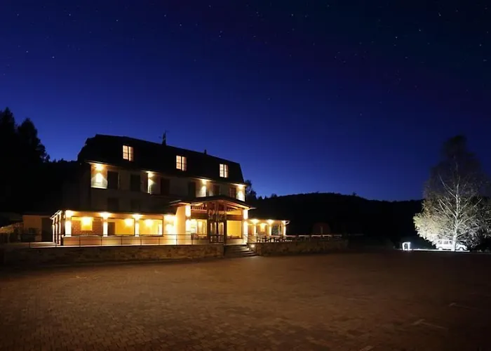 Hotel Ostrov 4*