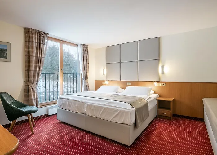 Hotel Ostrov 4*